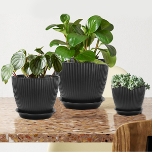 indoor pots for plants