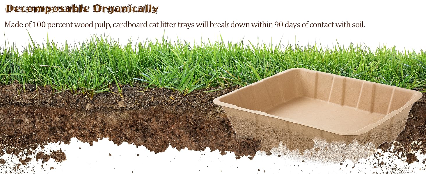 Cat Disposable Litter Boxes