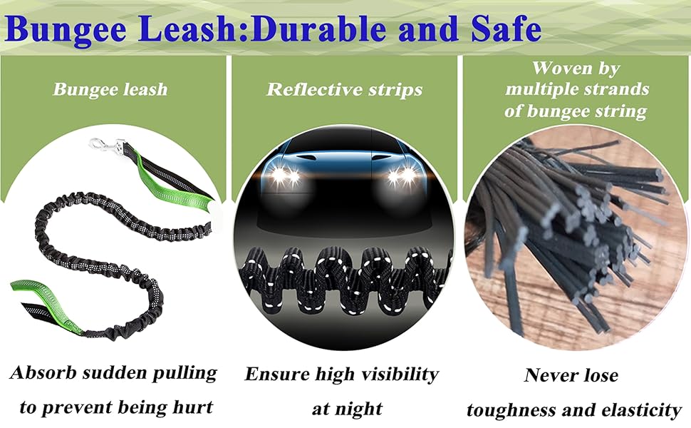 bungee leash