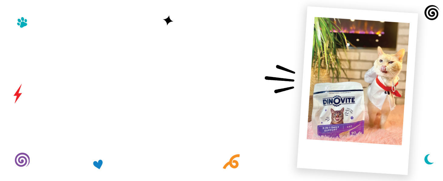 cat supplement, probiotic powder, skin and coat support, digestive health, hairball control, omega-3