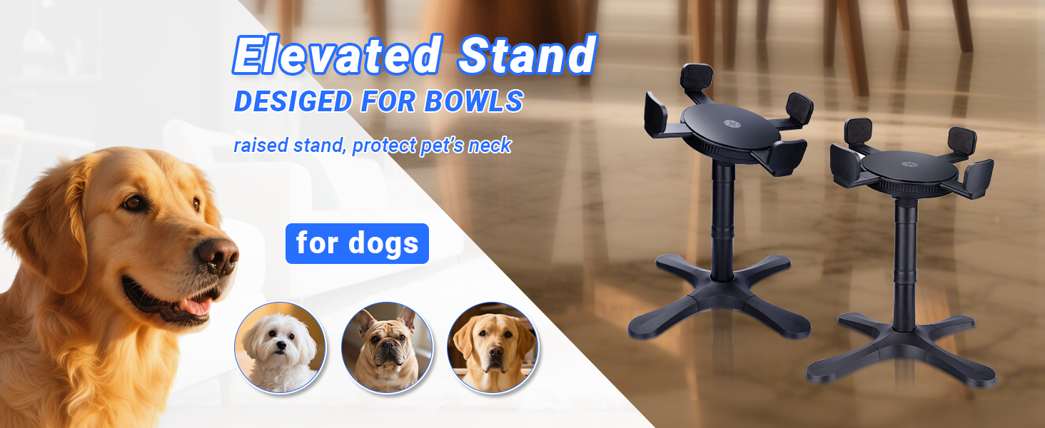 dog bowls elevated