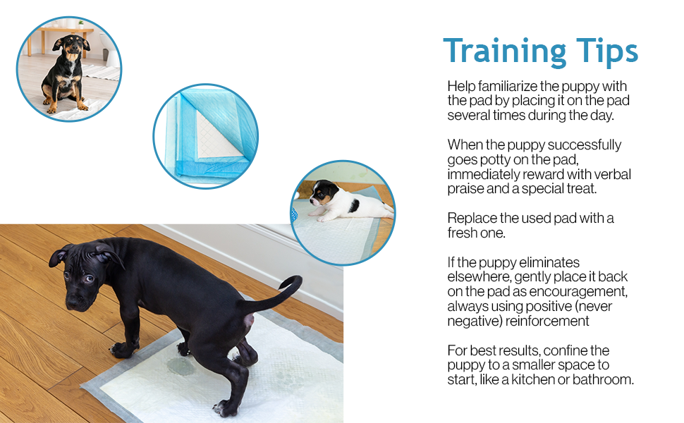 SA Products 50 Pack Large Dog & Puppy Training Pads Super Absorbent