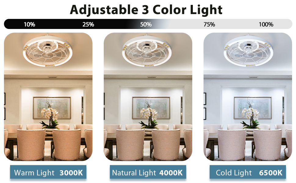 FCTWAKS Bladeless Ceiling Fans with Lights, Low Profile