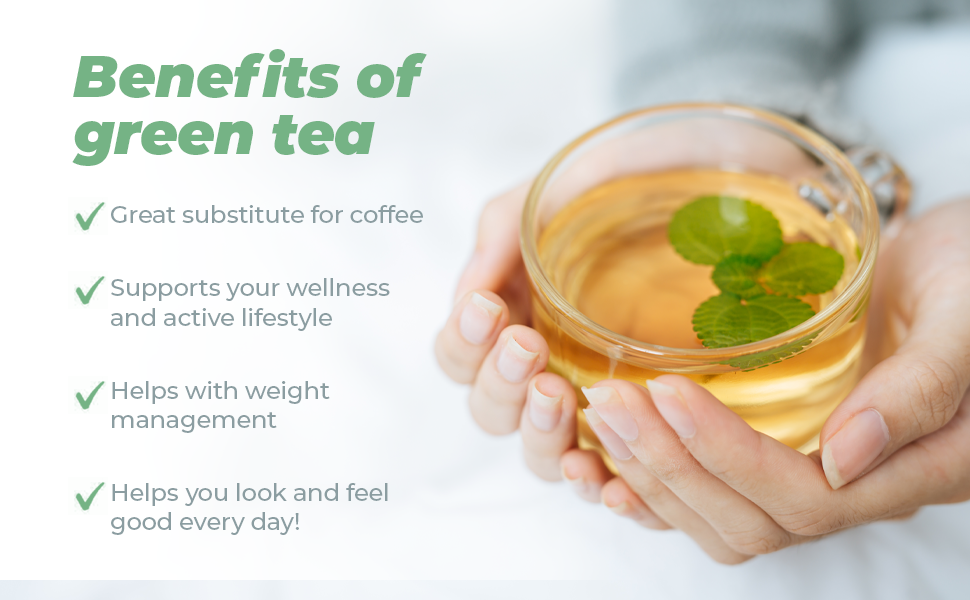 Organic Brews Green Tea, Power Refresh, 100 Organic Green Tea Blend with Mint & Lemongrass for