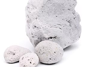 pumice stone