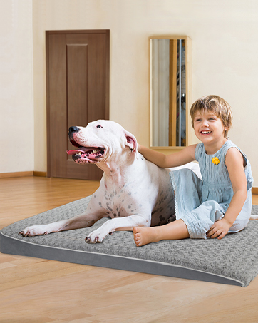 orthopedic dog bed
