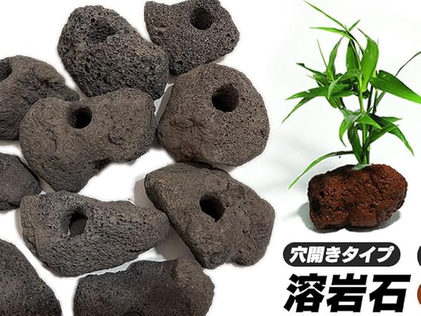 Amazon | S-NET 溶岩 石 火山 岩 水槽 穴あき オブジェ 10個