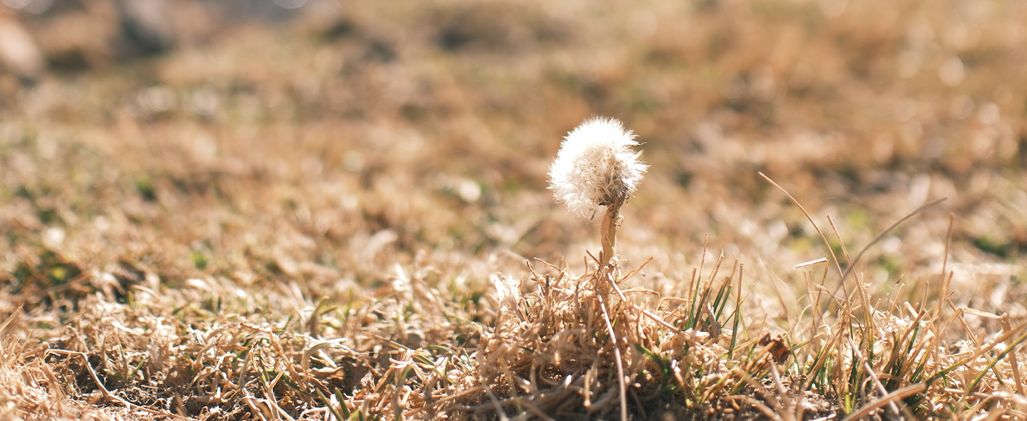 VILTROX 25mm f/1.7 Z-Mount APS-C Lens 