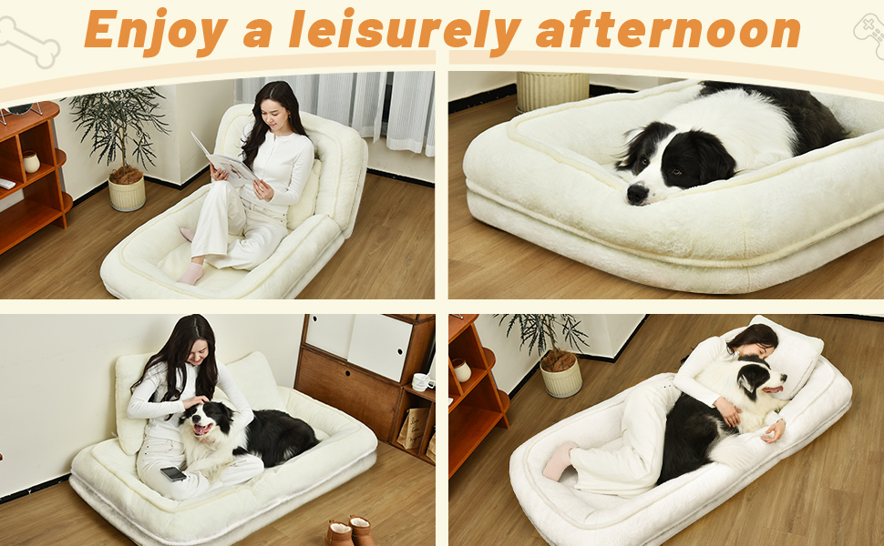 Pet and Human Sofa Bed
