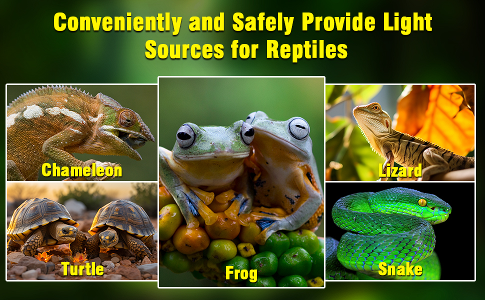 reptile heater cover