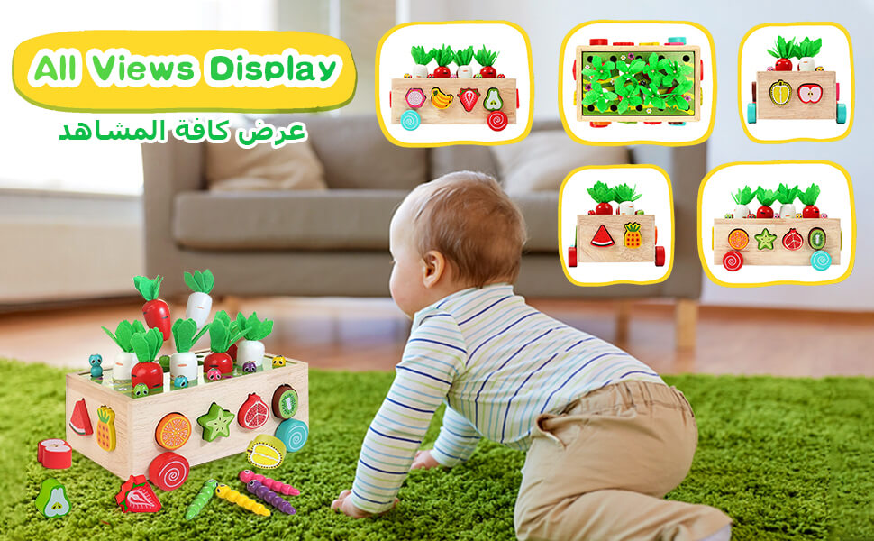 EDUTREE Toddlers Montessori Wooden Educational Toys for Baby Boys Girls Age 1 2 3 Year Old,Wooden Sorting Toys Preschool Educational Gift, Wood Preschool Learning Fine Motor Skills Game, Carrots Gifts 19 2