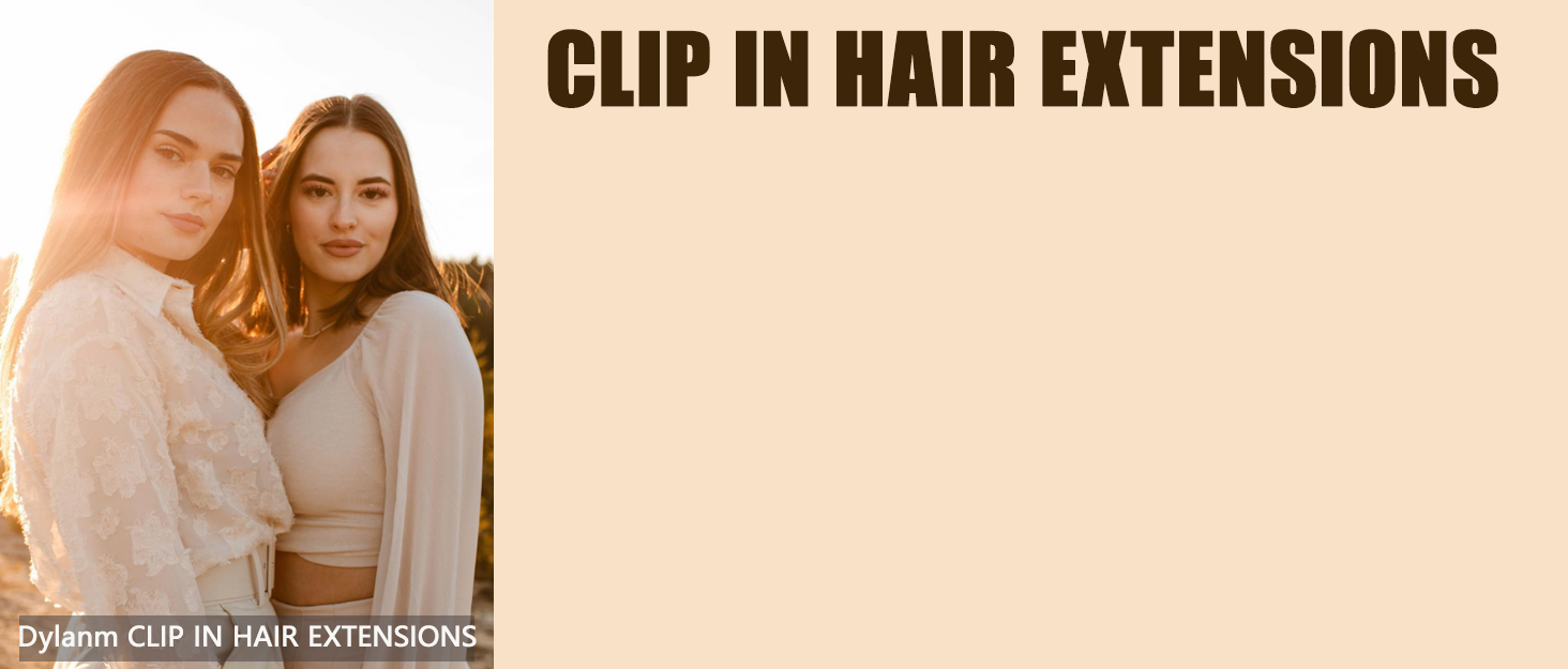 Clip in Hair Extensions