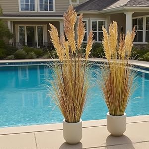 Artificial grass decoration