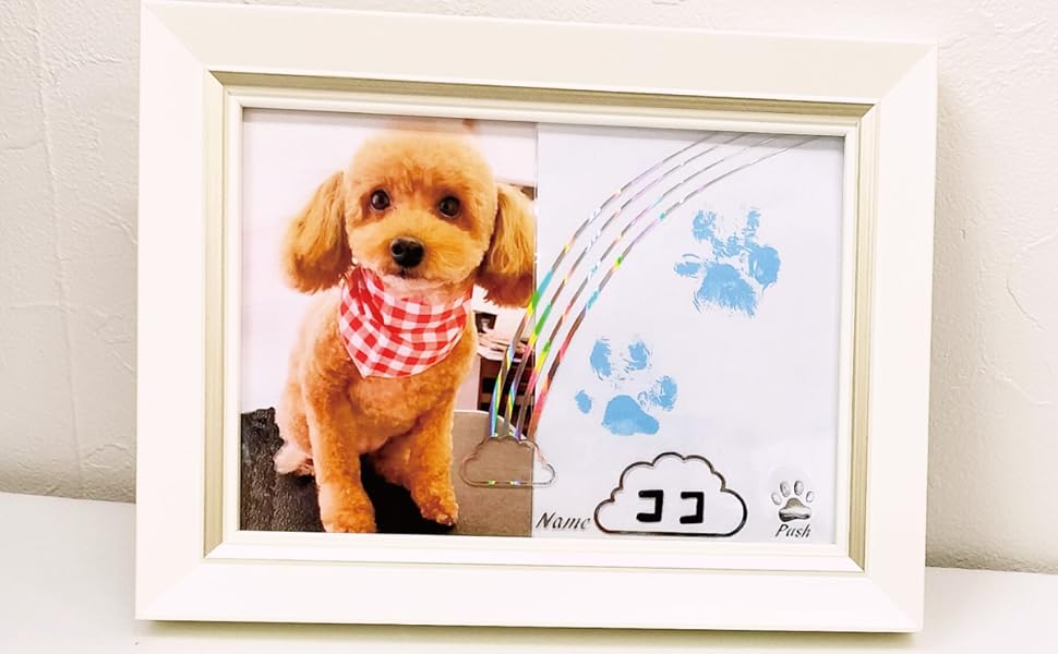 Amazon | ペット用（犬猫）写真立て 虹 うちのコの声と肉球