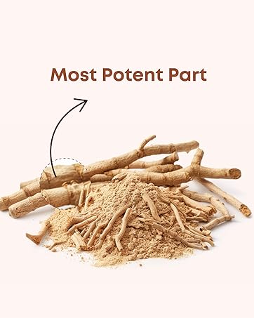 Trutatva Pure Ashwagandha Supplement | Natural stress relief, extra power, stamina, mood support | Route extract only. Immunity Booster | 60 capsules Trutatva Pure Ashwagandha Supplement | Natural stress relief, extra power, stamina, mood support | Route extract only. Immunity Booster | 60 capsules