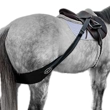 Gray horse with a saddle on and the Equine Fitness Band attached to the saddle