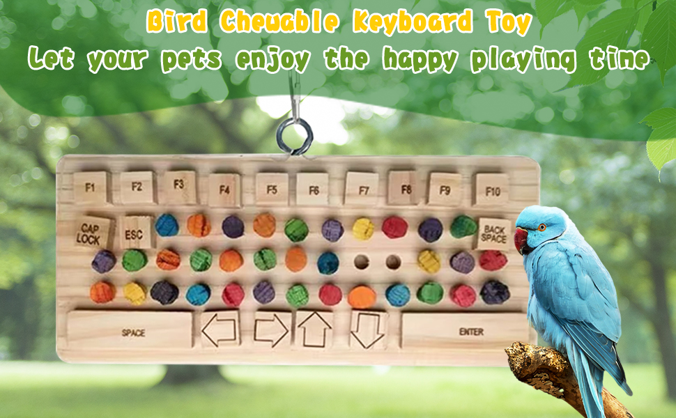 parakeet toys;bird toys;parrot toys;