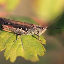 Small manufacture image 8