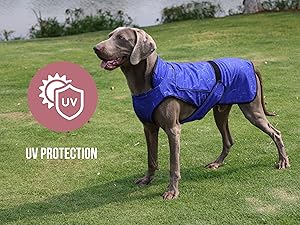 dog cooling vest UV protection for summer