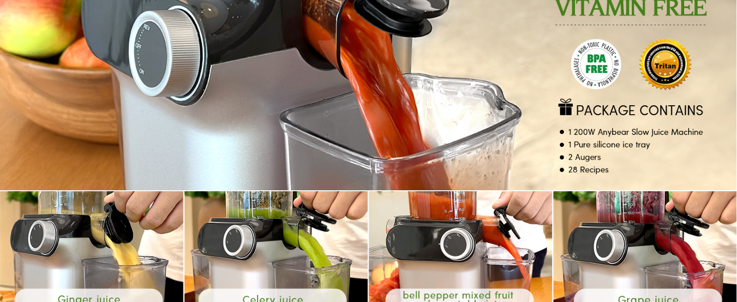 annybear juice master cold press juicer
