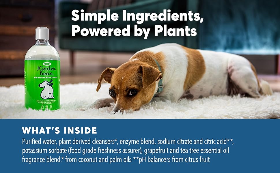 dog friendly is red wine bad for dogs