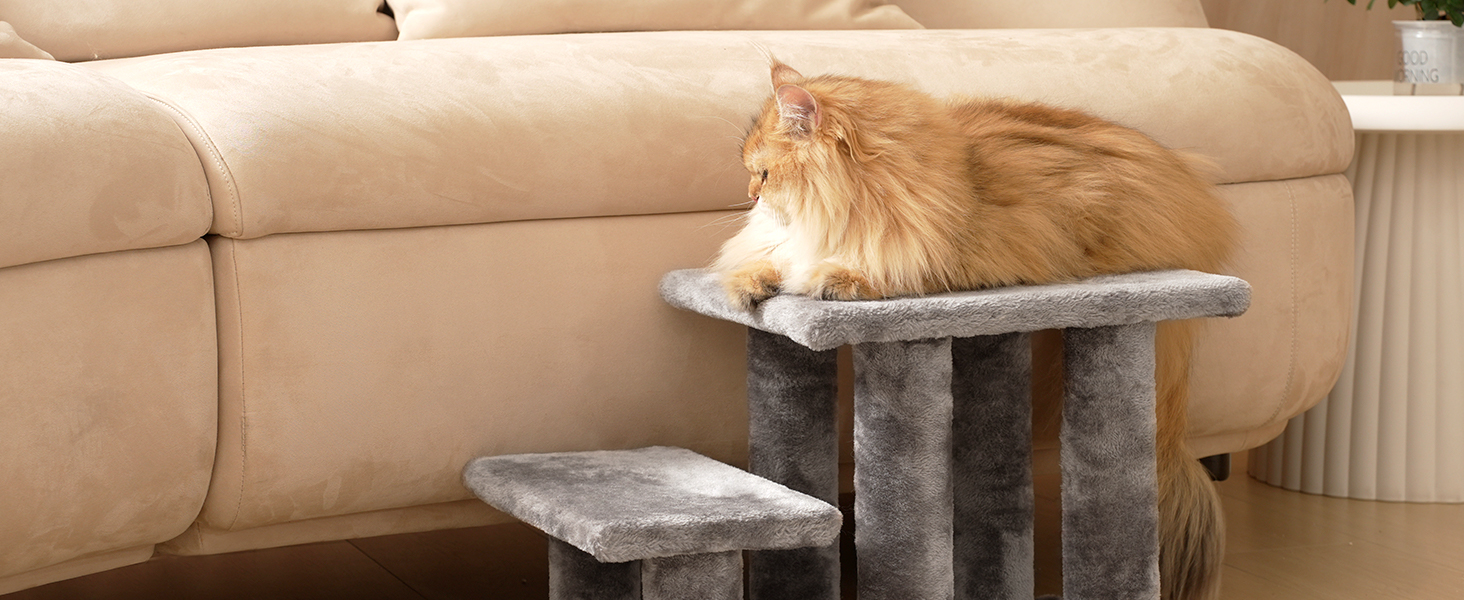 pet steps