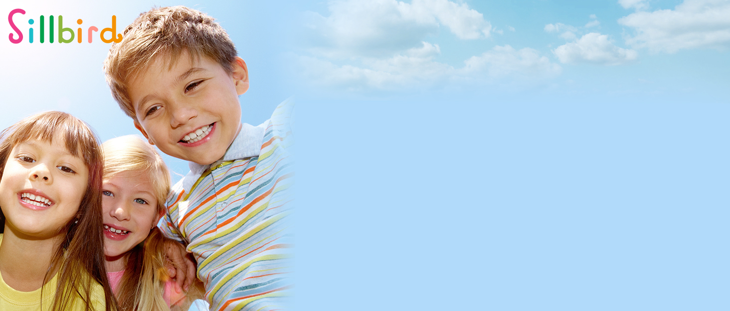 Sillbird STEM Gift Toys for Kids Girls Boys