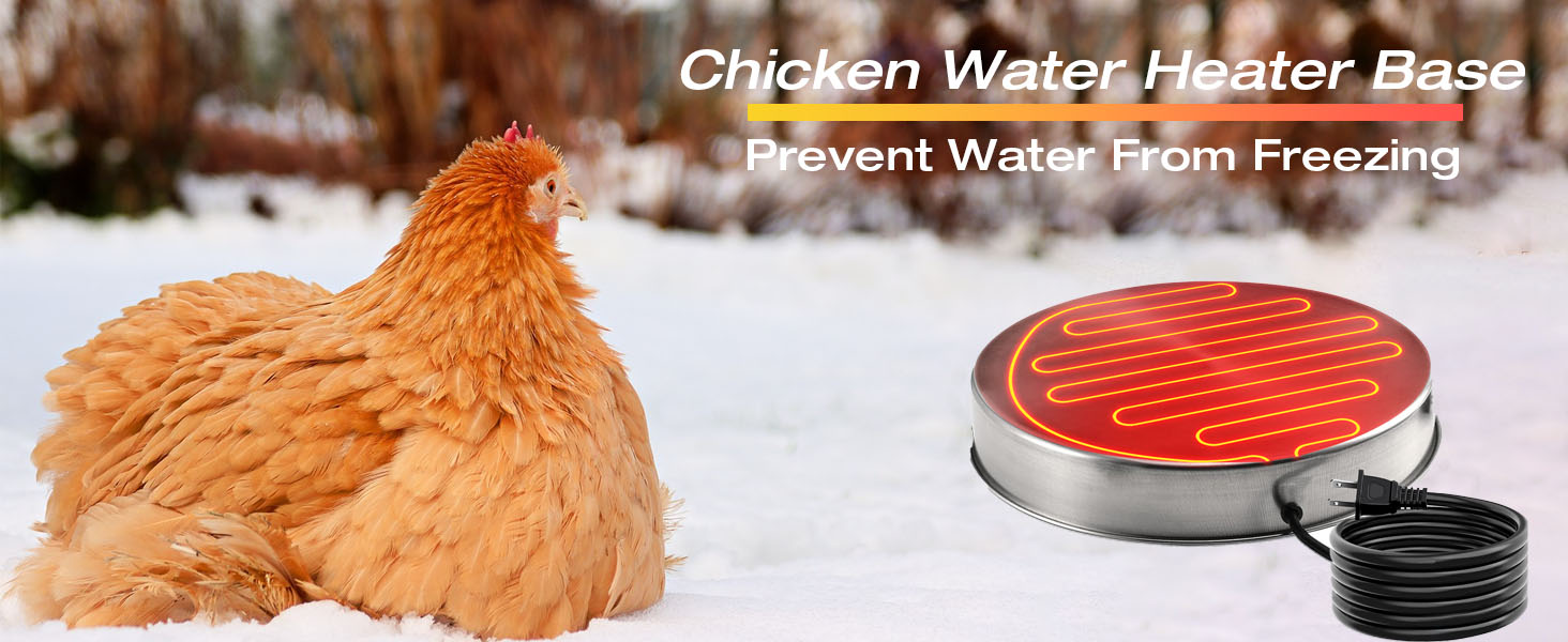 Chicken Water Heater Base