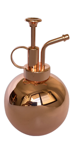 17 OZ gold color water bottle