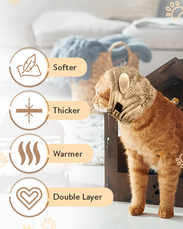 american bully english bulldog french bulldog cocker spaniel basset hound labrador retriever