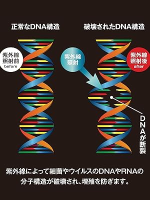 ✨人気商品✨ lumio 超音波式電動歯ブラシ 99.9％除菌 伸縮収納ヘッド Amazon.co.jp: lumio 超音波式電動歯ブラシ 99.9％除菌 伸縮収納