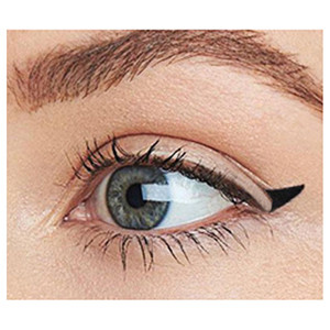 Black brown waterproof smudgeproof long lasting lazy colored liquid winged eyeliner stamp for women