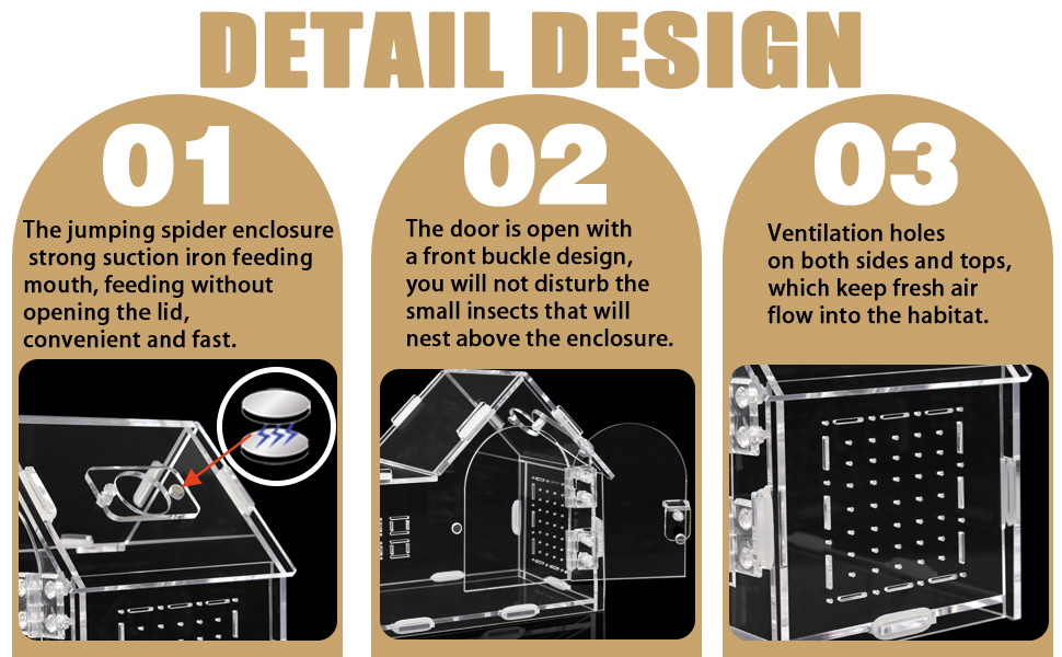 jumping spider hide live spiders terrarium reptile enclosure reptile terrarium hermit crab tank