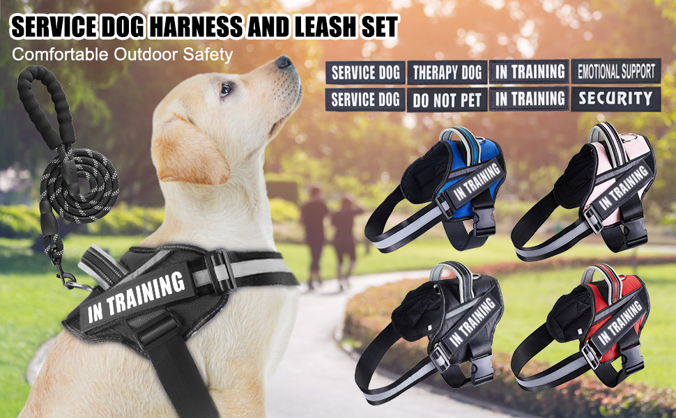 Service Dog Vest Harness and Leash Set, Animire in