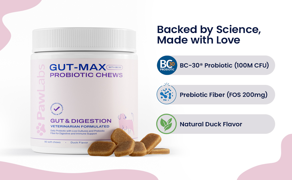 Dog Probiotic Chews