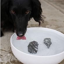Dog Rocks