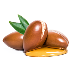 highlights highlight plex