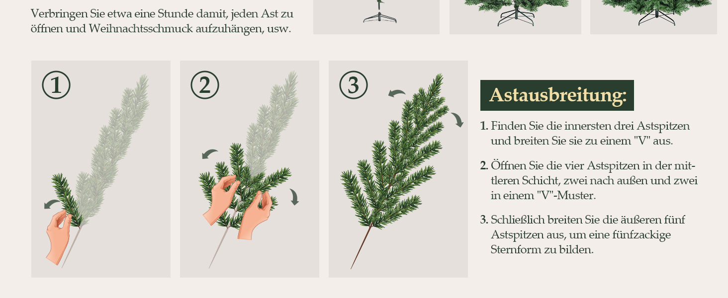 Schrittweises Anleitungsdiagramm, das drei Stufen der Pflanzenpflege zeigt, mit deutscher Textanleitung unten
