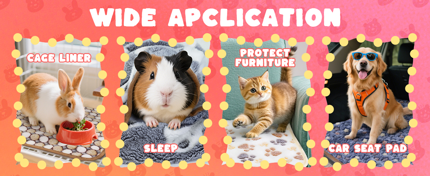 for Dog Cat Hamster Ferret Chinchilla Rabbit