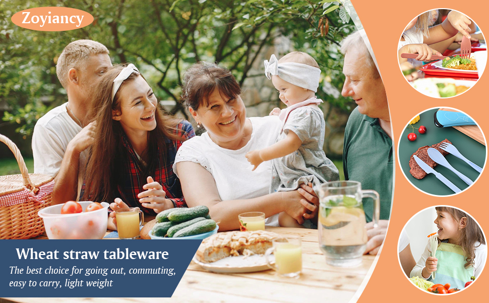 Travel Utensils with Portable Pouch Case