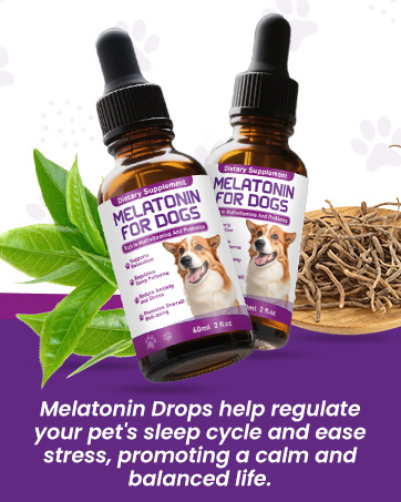 melatonin dogs puppy melatonin melatonin for dogs anxiety puppy melatonin for small dogs