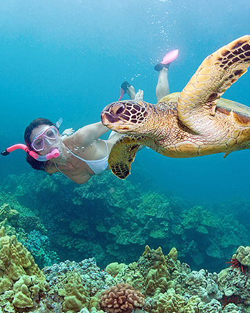 Diving Phone Case, Waterproof Phone Case,