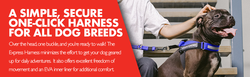 Express Harness ezydog