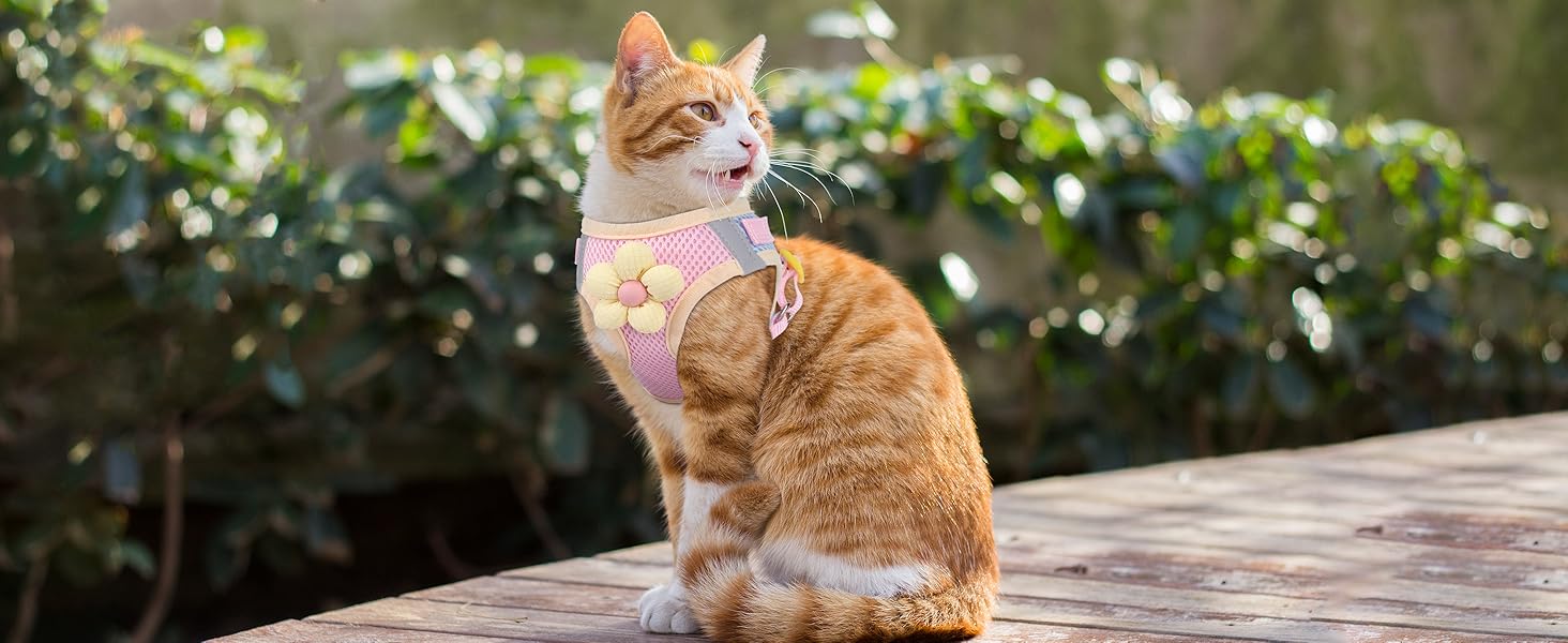Cat Harness and Leash Set