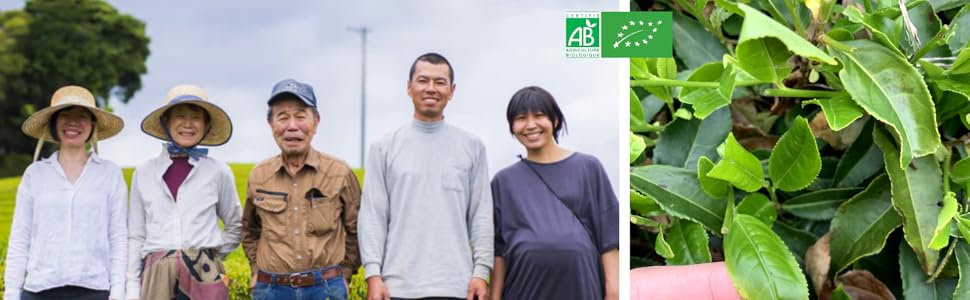 fermiers anatae bio thé matcha japon