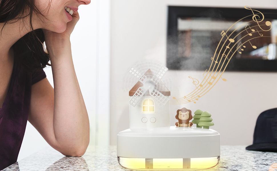 Facial humidifier