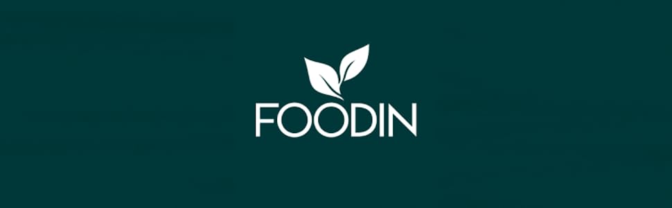 foodin logo banner