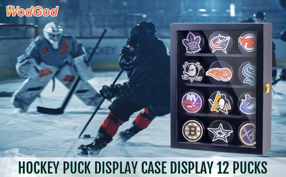 Hockey Puck Display Case