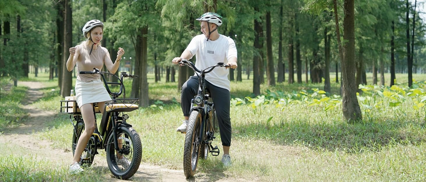 CEAYA Ebike Pedelec