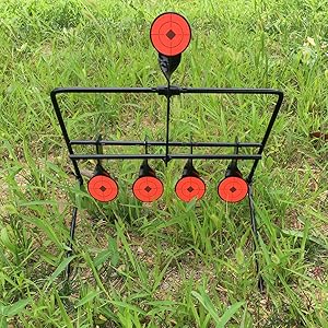 bb gun targets